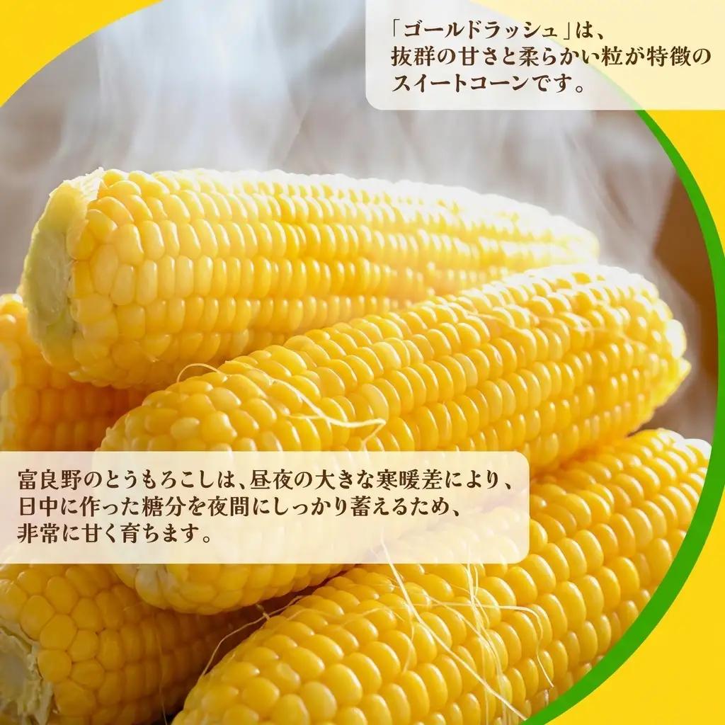 とうもろこし 富良野産 ゴールドラッシュ 2L とうもろこし【約10本】【先行予約】