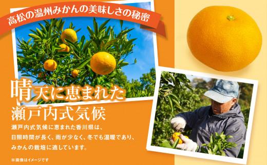 【先行予約】瀬戸内温州みかん　小粒サイズ　約5kg【2024年10月下旬～2025年1月下旬配送】