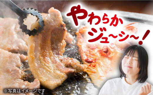 【 訳あり 】【6回 定期便 】 焼肉 豚 大西海 SPF豚 背ロース ＆ バラ （ 焼肉 用）計1.3kg（各650g） 焼肉 焼肉 肉 食品 肉類 国産 豚肉 食べ比べ こだわり セット 甘み 旨