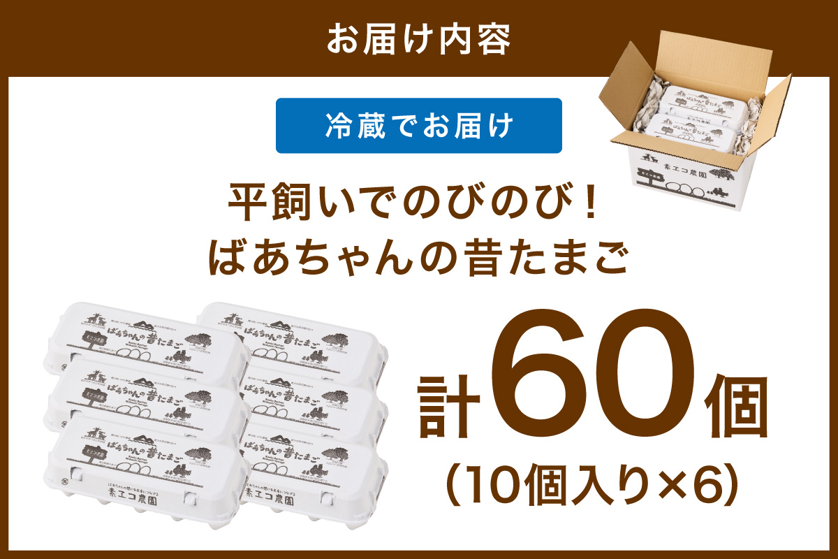 平飼いで のびのび養鶏！ばあちゃんの昔たまご（計60個）平飼い卵 割れ保証あり 129-B1232