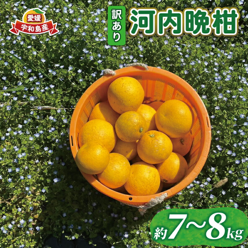 【ふるさと納税】 訳あり 河内晩柑 7 ～ 8 kg あかまつみかん 和製 グレープフルーツ 晩柑 かわちばんかん さっぱり 酸味 果物 くだもの フルーツ 柑橘 みかん mikan 蜜柑 愛媛蜜柑 愛媛みかん 農家直送 産地直送 数量限定 国産 愛媛 宇和島 B014-203001