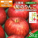 【ふるさと納税】【12月上旬まで受付】【2024年10月～12月発送】 三関産 旬 りんご 3kg + 果汁100 ％ りんごジュース 10個 セット 中生種 品種お任せ 早生ふじ シナノスイート 王林 等の中から 美味しい 林檎 をお届け 果物 ジュース 三関 [B2-2602]