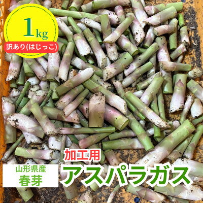 【ふるさと納税】【先行予約】令和9年 山形県川西町産 雪国春アスパラガス 訳あり(はじっこ)加工用　1kg【配送不可地域：離島・北海道・沖縄県・信越、北陸・近畿・中国・四国・九州】【1770481】