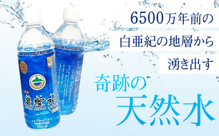【全3回定期便】飲料 水 ミネラルウォーター 巌聖水6500 500ml×24本 広島県福山市/小林商事 ミネラルウォーター ペットボトル 500ml 24本 保存用 備蓄 防災 [BAEA016]