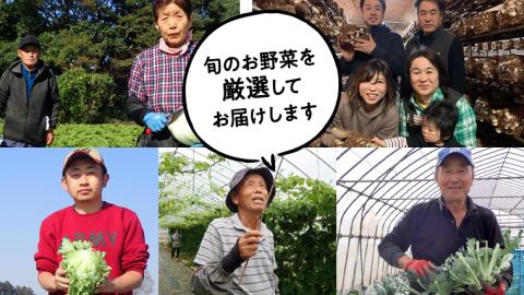 【 季節限定 秋 】 産地直送 ！ 旬 の 産直 野菜 セット 詰め合わせ BOX 新鮮 詰合せ つめあわせ 直送 茨城 茨城県 おまかせ [CN001ya]
