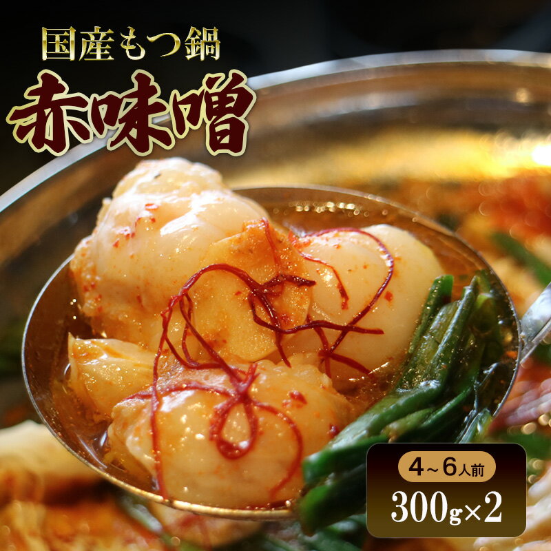 【ふるさと納税】国産もつ鍋 赤味噌4～6人前　300g×2 | 牛肉 国産牛 牛ホルモン モツ 鍋 冷凍 京都