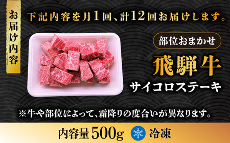 【12回定期便】 飛騨牛 サイコロステーキ 部位おまかせ 500g A4等級以上  多治見市 / 渡辺精肉店 和牛 ブランド牛 牛肉[TAZ041]