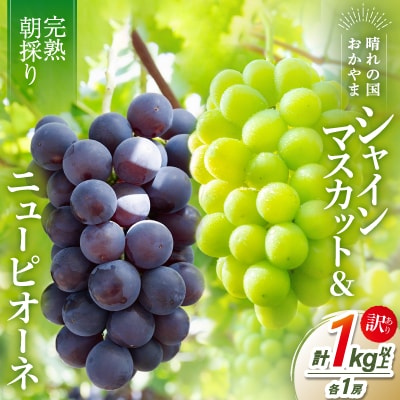 2027年発送【完熟朝採り】訳あり シャインマスカット＆ニューピオーネ 各1房【配送不可地域：離島】