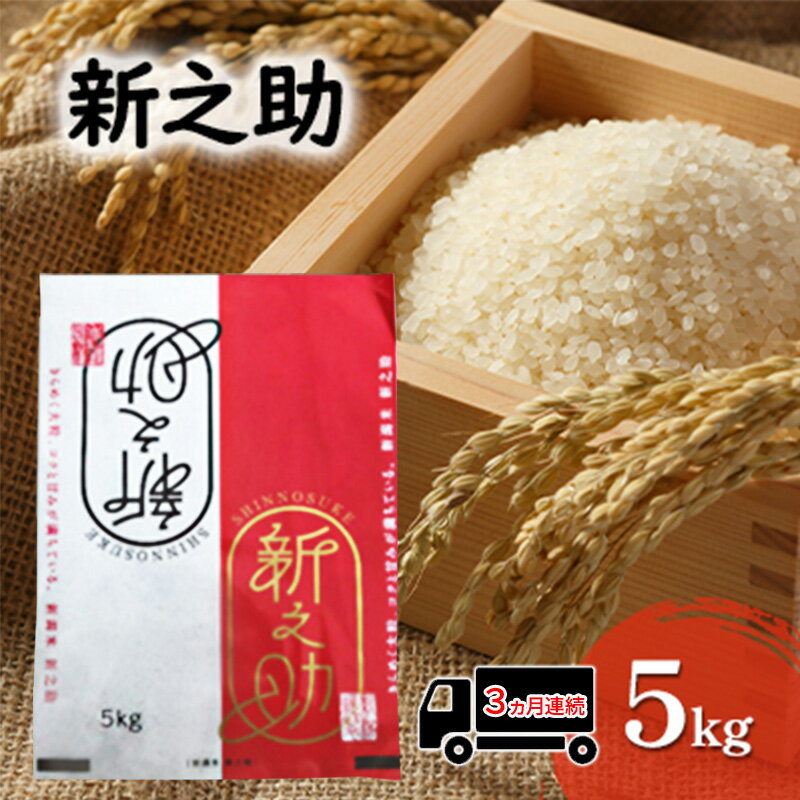 【ふるさと納税】【先行予約 3か月連続定期便】令和8年産米 新之助 5kg お米 精米　お届け：2026年10月上旬～2027年8月中旬まで