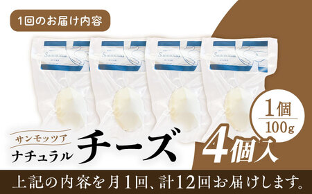 【全12回定期便】自家製 ナチュラルチーズ サンモッツア 4個 ( 100g × 4個 ) / チーズ モッツァレラチーズ  乳製品 熊本 山都町 チーズ定期 チーズ定期便 熊本チーズ 自家製チーズ 