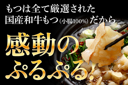 訳あり もつ鍋 醤油味 15人前 醤油 醤油味 国産牛小腸 国産もつ モツ 鍋 お土産 美味しい 豪華 贅沢 福岡県 福岡 九州 グルメ お取り寄せ