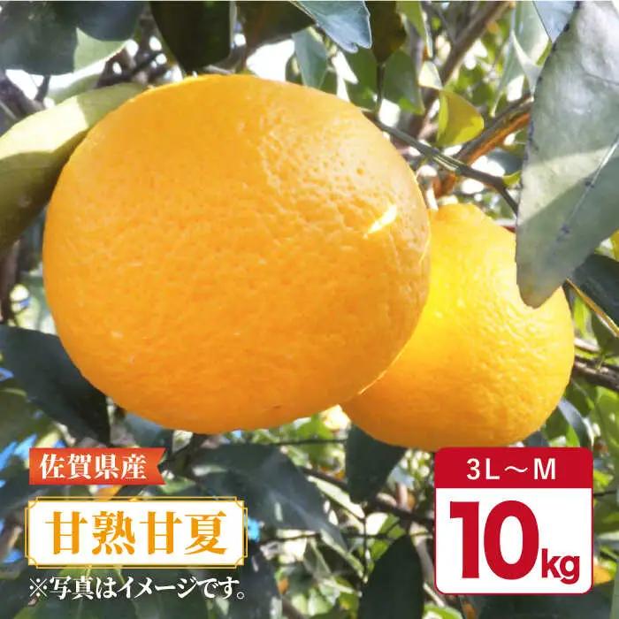 【先行予約・27年3月以降順次発送】佐賀県産 みかん「甘熟甘夏」約8kg 吉野ヶ里町/リエンサーク  [FCC012]