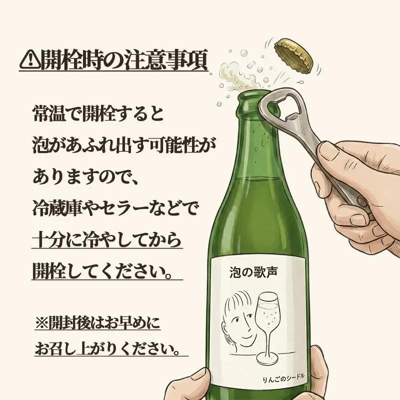 【14日以内発送】 りんごのシードル 泡の歌声 750ml×1本
