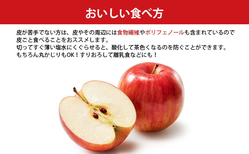 訳あり りんご JA信州うえだ 合戦りんご サンふじ 約5kg（10玉～20玉） リンゴ 林檎 ふじ 果物 くだもの フルーツ 信州 長野 離乳食 訳アリ わけあり 傷