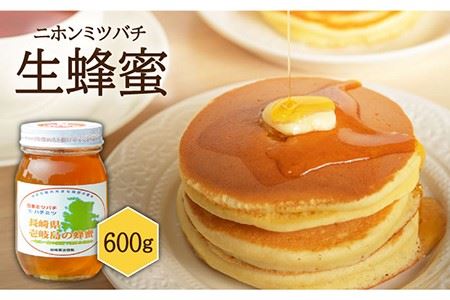 ニホンミツバチ 生蜂蜜 600g《壱岐市》[JCL001] 蜂蜜 蜂蜜 蜂蜜 蜂蜜 蜂蜜