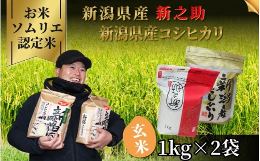 【先行予約】令和8年産【お米ソムリエのお米】玄米食べ比べセット 2kg（コシヒカリ1kg、新之助1kg）新潟県 五泉市 エバーグリーン農場