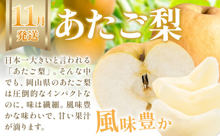 【3か月定期】岡山の果物 3種食べ比べ 計4.1kg【配送不可地域あり】桃 ﾏｽｶｯﾄ
