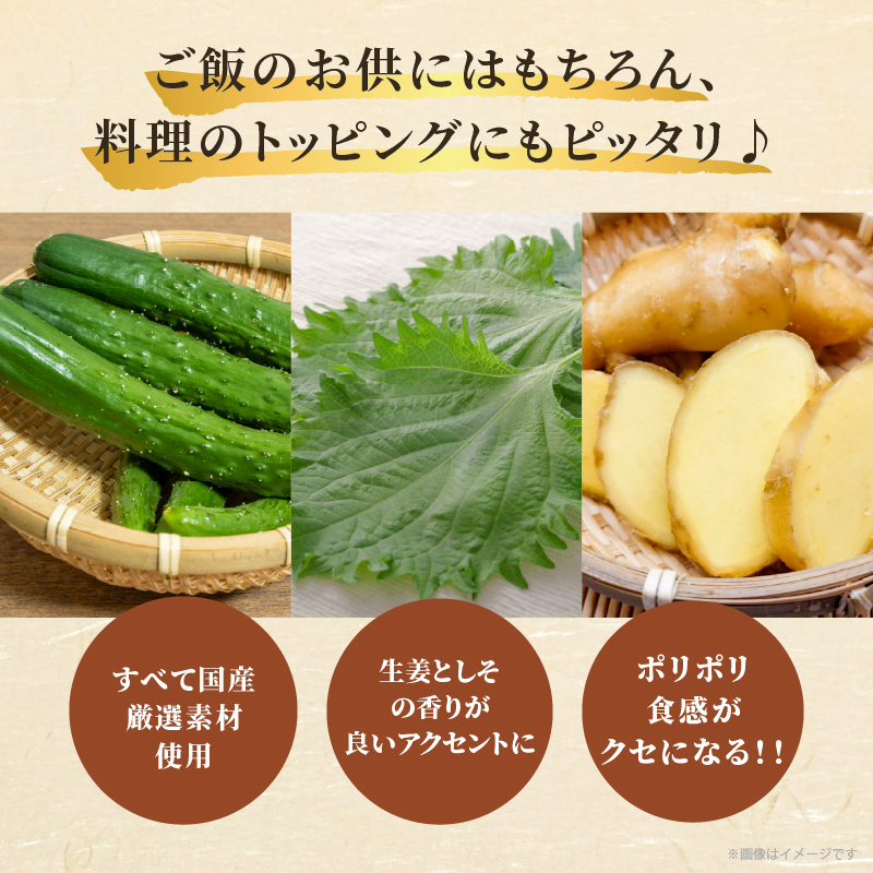 ＼ポスト投函／ひょうすんぼ漬け 計2袋_T037-012【漬物 おかず 野菜 加工品 国産 人気 ギフト つけもの 食品 和食 ご飯 贈り物 送料無料 プレゼント】