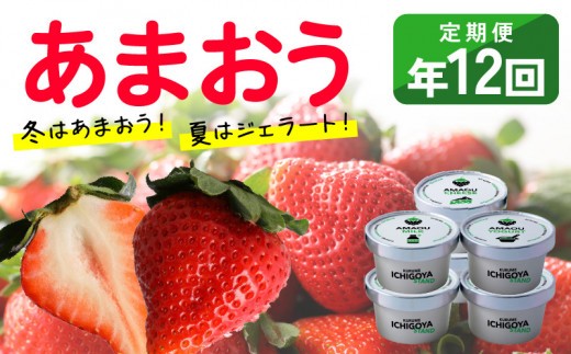 【あまおう年間定期便(年12回)】福岡県産 冬はあまおう！夏はジェラート(アイス)！年中あまおうの美味しさをお届けします！！_いちご 定期便 年12回 あまおう 280g × 4パック  完熟あまおう ジェラート 85ml × 6個 各 6回 高級ブランドいちご フルーツサンド アイス レアチーズ ミルク ヨーグルト 3種類 冷凍 フルーツ お取り寄せ 福岡県 久留米市 送料無料_Dw017
