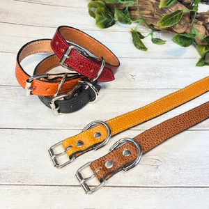 選べるサイズのイタリア本革の犬用首輪 (25mm幅) 小型/中型/大型　【ドラーロ】 犬用首輪 首輪 犬 ドラーロ Sサイズ橙色