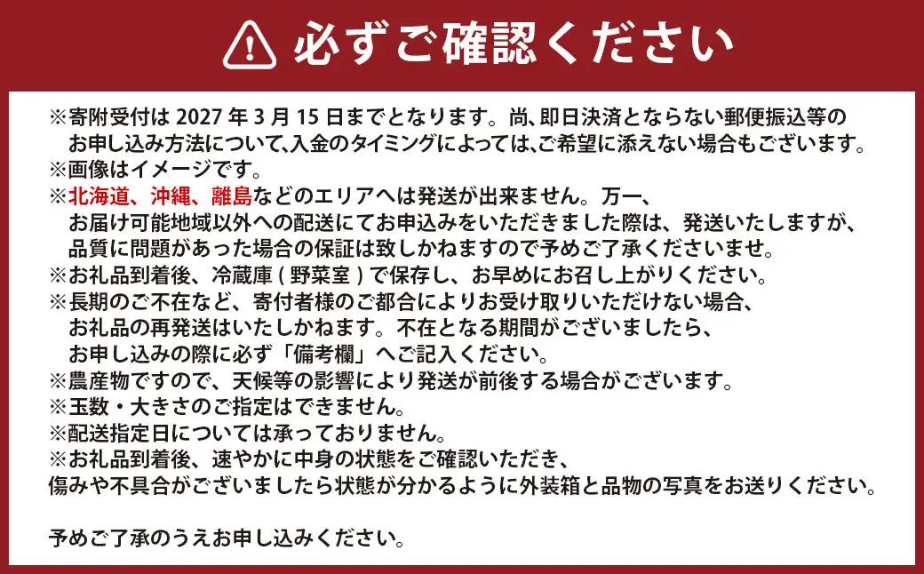 熊本県宇城市産 イチゴ 恋みのり 250g×4パック 合計約1kg 【2027年2月上旬発送開始】 いちご 苺 こいみのり 果物 くだもの フルーツ 果実 果肉 おやつ 熊本県産
