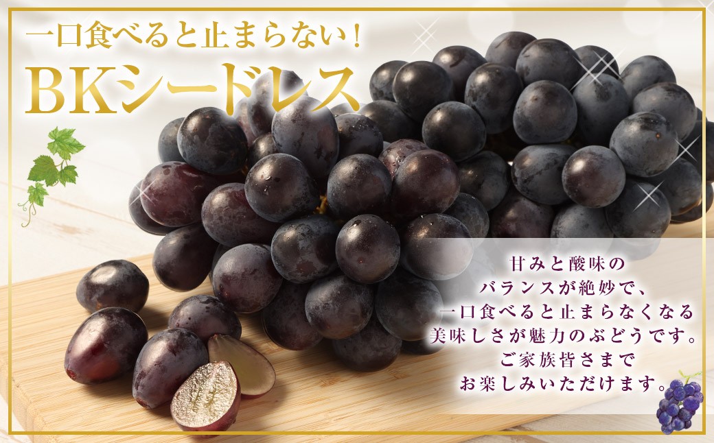 【先行予約】 朝採れ BKシードレス （種なし） 500g（1房） ぶどう 葡萄 【2025年8月上旬から9月中旬発送予定】 