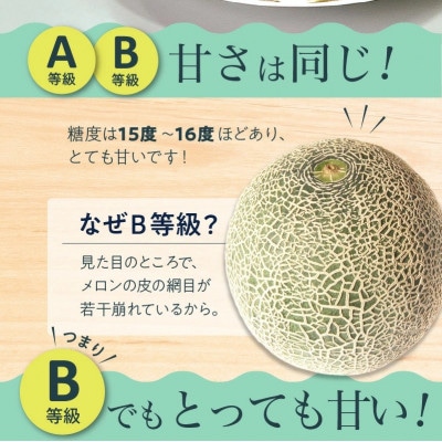 南九州市産マリオネットメロンB等級 約4.5～5kg【配送不可地域：離島】