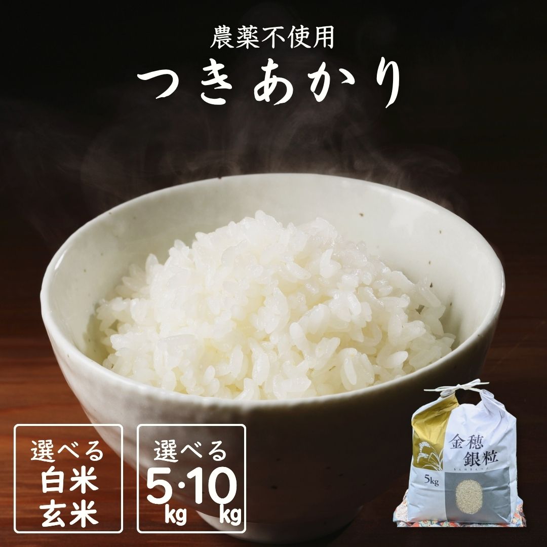 【ふるさと納税】【先行予約】令和7年産 新米 つきあかり 選べる容量 5kg～10kg 白米・玄米 | 無農薬 農薬不使用 化学肥料不使用 精米 玄米 お米 米 こめ コメ 福島産 福島県産 南相馬 みさき未来