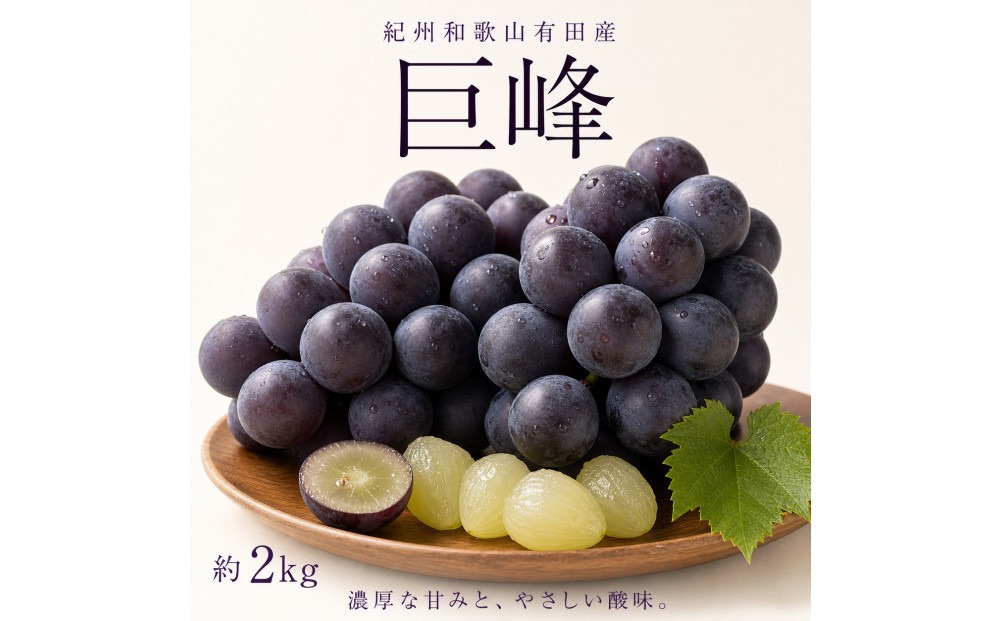 紀州有田産の巨峰ぶどう約2kg【先行予約】【2026年8月下旬以降発送予定】AN021