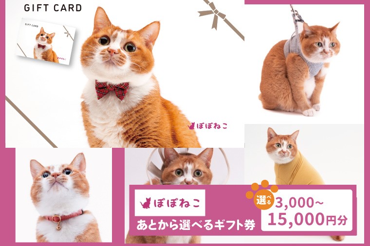 
                  【選べる金額・ギフト券タイプ】ぽぽねこギフト券 3,000円分 or 9,000円分 or 15,000円分｜オンラインショップで使えるギフト券ペット用品猫
                