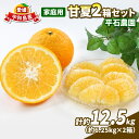 【ふるさと納税】 愛媛みかん 甘夏 6.25kg 2箱 計12.5kg 家庭用 平石農園 mikan 愛媛ミカン 愛媛蜜柑 甘夏みかん 果物 くだもの フルーツ 柑橘 みかん 蜜柑 農家直送 産地直送 数量限定 国産 愛媛 愛媛県産 宇和島 B010-017004