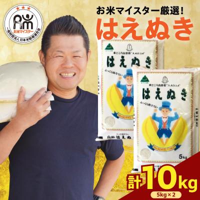 ふるさと納税 米沢市 【 令和6年産 】 はえぬき 計 10kg ( 5kg × 2袋 )