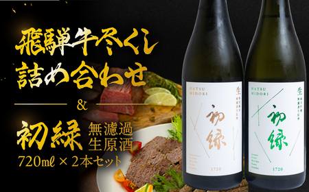 【飛騨 味職人】飛騨牛尽くし詰め合わせと【初緑】 無濾過生原酒2種セット(720ml×各1本) お酒 日本酒 純米吟醸 奥飛騨酒造 おさだ食品 ローストビーフ ハム おつまみ 晩酌 ギフト 下呂温泉【54-22】