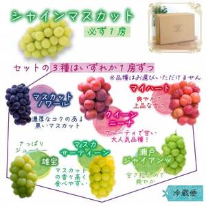 岡山　花笑み農園の『園主おすすめぶどう4種セット』(4房)家庭用　4M-2R家【9月下旬～順次発送】【配送不可地域：離島・北海道・沖縄県】【1626799】