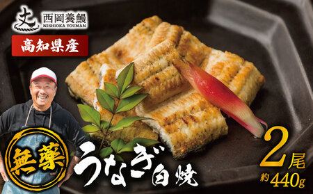 【 鰻白焼 】 国産 うなぎ白焼 440g ( 220g × 2尾 )