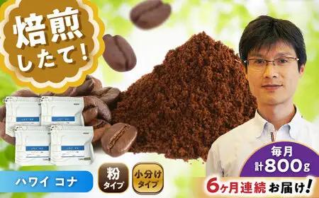 【全6回定期便】ハワイ・コナ　コーヒー粉　200g×4個(粉/中挽き)  / コーヒー  ドリップ  粉 / Coffee SAKURA[BBAB076]
