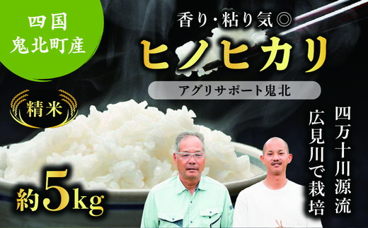 【先行予約】【令和7年度産新米】ヒノヒカリ 約5kg （精米済み） | 精米 お米 米 白米 人気 ランキング 愛媛県 鬼北町 四国 国産 アグリサポート鬼北　※離島への配送不可　※2025年10月頃より順次発送予定