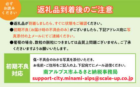 【ご家庭用】高級すもも「貴陽」約3.0kg（12～20玉）ALPCZ017