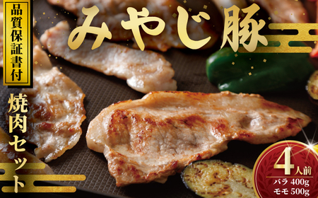 ブランド豚焼肉用 セット 豚バラ・もも 計900g 【ブランド豚】