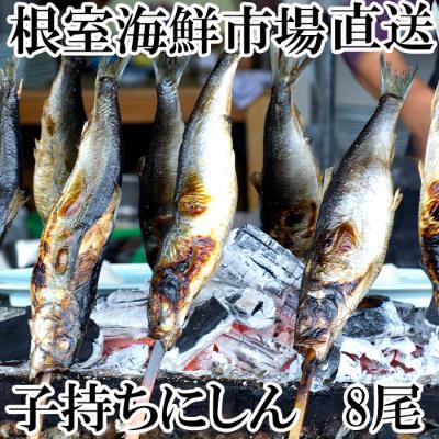 ふるさと納税 根室市 【年内配送可○】根室海鮮市場＜直送＞一夜干子持ちにしん8尾 A-28126