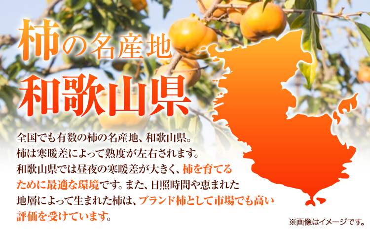 秀品和歌山秋の味覚富有柿約4kg化粧箱入株式会社魚鶴商店《2024年11月上旬-12月上旬頃出荷》柿富有柿フルーツ---wsh_uot29_ad1112_24_18000_4kg---