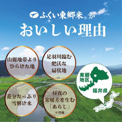 ふるさと納税 福井市 令和7年産 ふくい東郷米 特別栽培米 栽培期間中農薬70%減コシヒカリ 胚芽付3kg×1袋【真空袋】 |  | 01