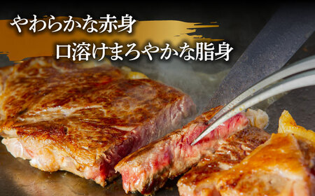 長崎和牛 サーロインステーキ 2人前（200g×2枚）/ 牛肉 ステーキ 長崎産 サーロイン / 南島原市 / ふるさと企画[SBA031]