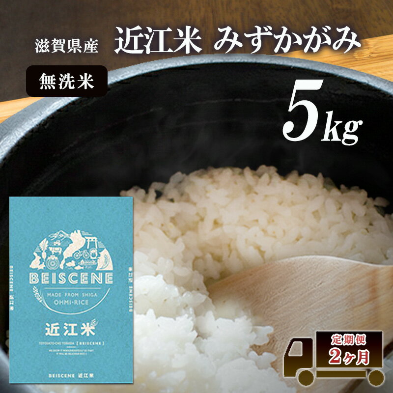 【ふるさと納税】特A受賞歴 定期便 5kg×2ヶ月 みずかがみ 無洗米 令和7年産 近江米 米 こめ コメ滋賀 豊郷 定期 2回