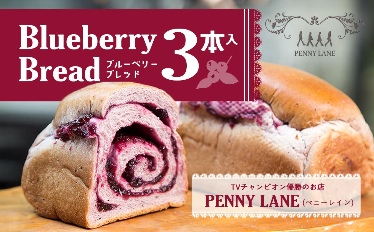 
                  【 12ヵ月 定期便 】ペニーレイン ブルーベリーブレッド 3本 │ パン 冷凍 パン屋 ブルーベリー ブルーベリージャム 冷凍パン おやつ 朝食 朝ごはん 冷凍便 テレビで紹介 茨城県 つくば市
                
