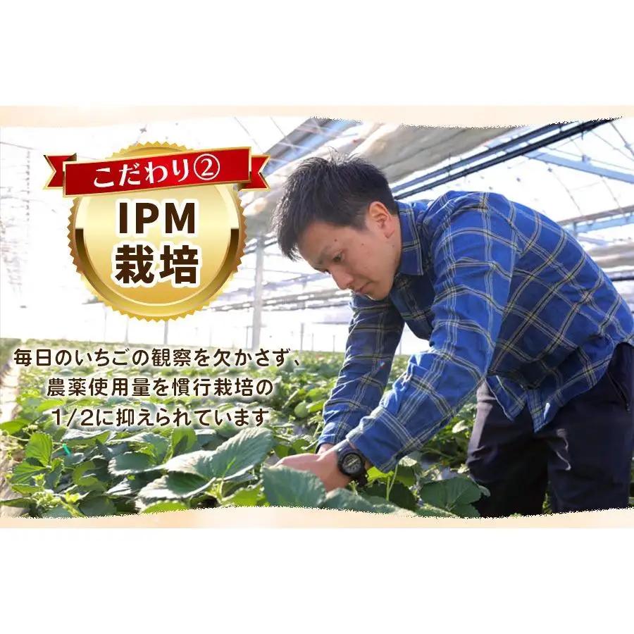 【2027年先行予約】元祖とちおとめ×白いちごミルキーベリー 食べ比べセット 560g