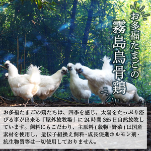 K-331-A ＜通常便＞オーガニック烏骨鶏卵「霧島烏骨鶏」(計12個・6個入×2箱)【お多福たまご】有機JAS 放し飼い自然卵 霧島市 国産 九州産 鹿児島県産 たまご 卵 鶏卵 烏骨鶏 うこっけい