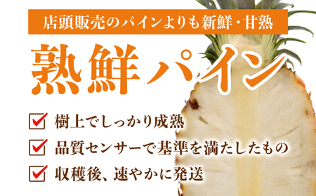 ２０２５年発送予約【桃のような甘い香り】沖縄　西表島　熟鮮ピーチパイン2㎏（2～3玉）