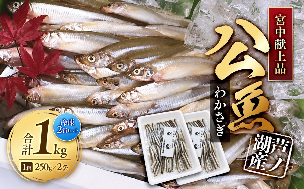 
                  宮中献上品 芦ノ湖産公魚（わかさぎ）（冷凍250g×2袋）×2箱セット 合計1kg
                