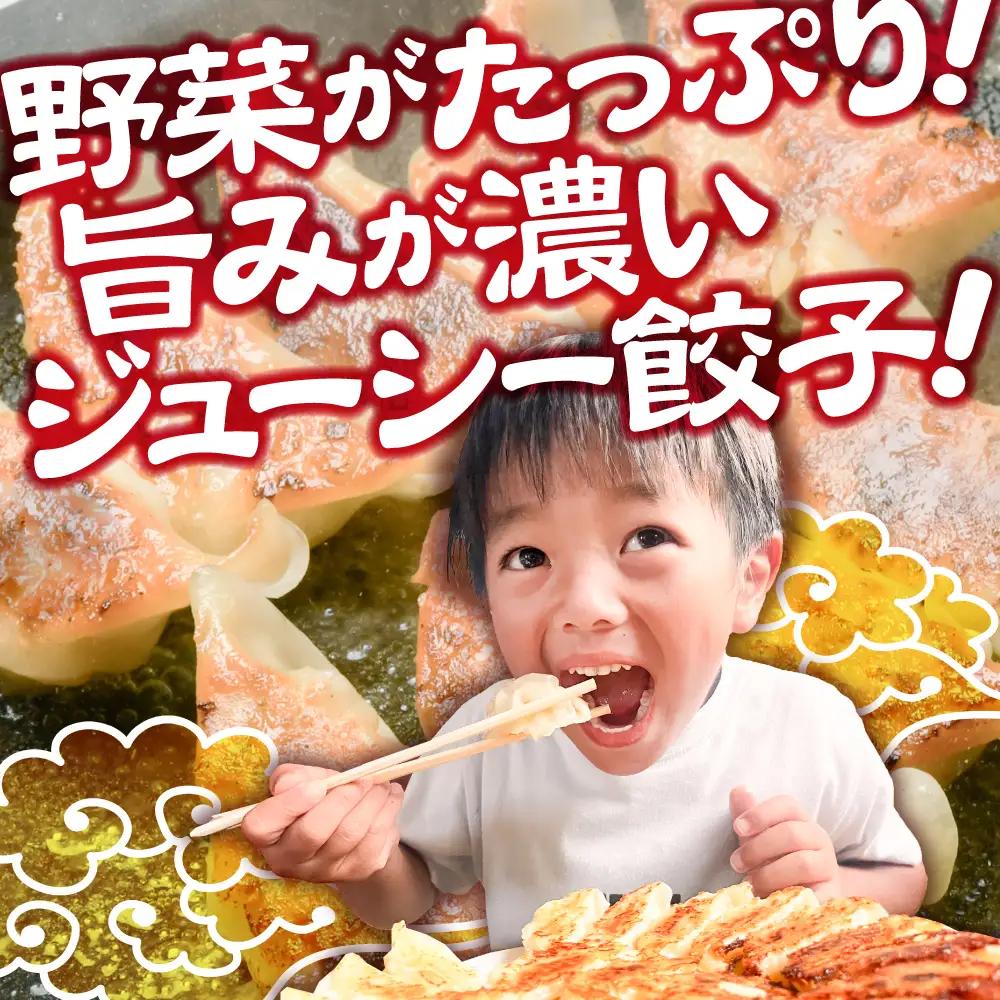 訳あり 本格生餃子 100個(50個×2袋) 餃子